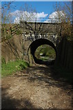 SO9239 : Railway Bridge, Bredon's Norton by Philip Halling