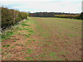 Footpath over Bunkers Hill