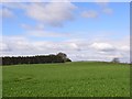 Farmland, Bagshot