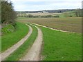 Track and farmland, Shalbourne