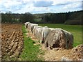 SU2963 : Old bales near Folly Farm, Shalbourne by Andrew Smith