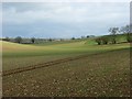 SU2962 : Farmland, Great Bedwyn by Andrew Smith