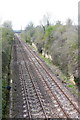 Railway Cutting Bradford Abbas