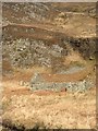 NR6496 : Ruin, Glengarrisdale by Richard Webb