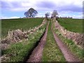 Laneway, Donaghanie Old Graveyard