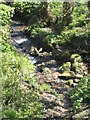 Stream below the road at Packsaddle Penryn