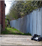 J3271 : Alley, Belfast by Rossographer