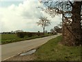 The road to Mashbury from Chignall Smealy