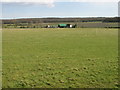 Parsonage Farm from Denstroude Lane