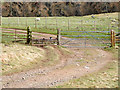 Gateway on sheep farm track