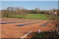 Late frost protection at small holding near Gorsley Common