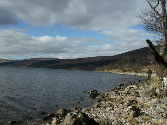 Loch Arkaig shoreline west of Achnasaul