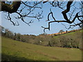 View towards Pencoose Farm from the steps up to Kenwyn Cemetery