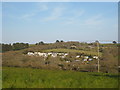 Looking towards Pennance from Pennance Hill