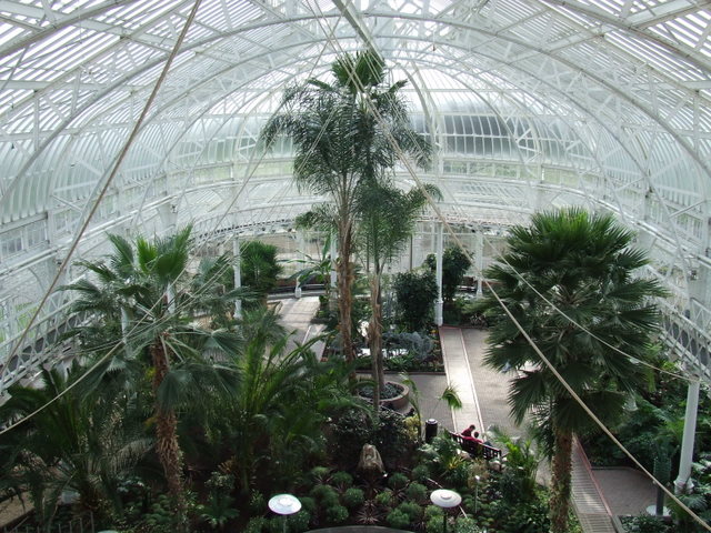 People's Palace Winter Garden © Thomas Nugent :: Geograph Britain and ...