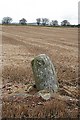 Standing Stone at Vayne Farm