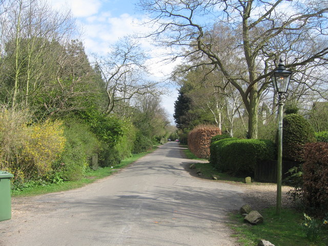 Latham Road