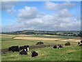 Royd Moor And Thurlstone From Syke Lane Penistone