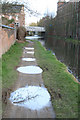 Puddles on The Towpath