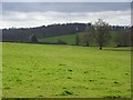 Farmland, Lane End