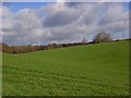 Farmland, Lane End