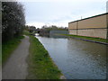 Chesterfield Canal Bridge 41a - Looking back towards Stret Lock (48)