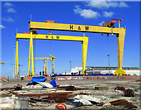 J3575 : The most famous cranes in Belfast [5] by Rossographer