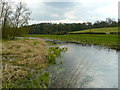 St Mary Bourne - The River Bourne