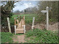 The Daffodil Way and Poets Paths at Dymock