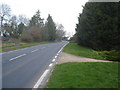 Daffodil Way at Shakesfield