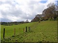 Pasture, Lane End