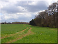 Farmland, Piddington