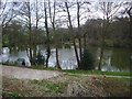 Lone fisherman at Duttons Pool, Slitting Mill