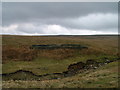 Sheepfold by Shaw Farm