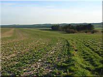 SU5283 : Farmland on the downs, Blewbury by Andrew Smith
