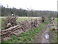 Bridleway to the bridge