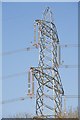 Pylons are bigger than you think (1)