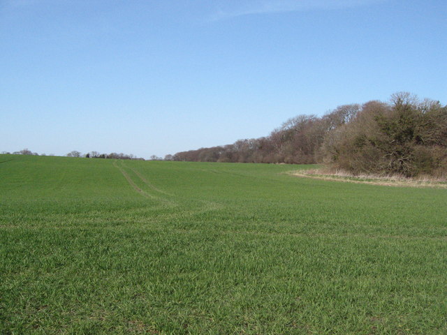 Across the field toward The Brocks