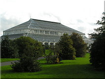 TQ1877 : Greenhouse, Kew Gardens by N Chadwick