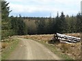 Logs By The Track