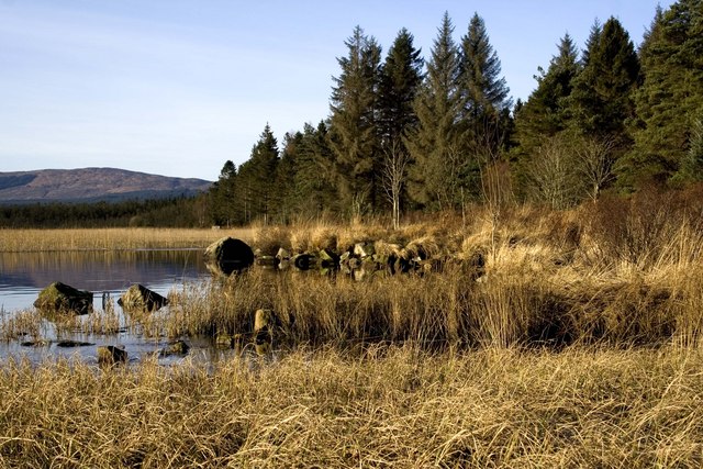 Loch Stroan Near Mossdale