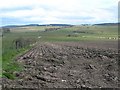 Farmland View