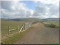 Looking towards Rhyndaston Hill (also known as Kite Hill)