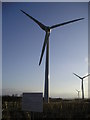 Turbines in the Evening Light