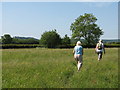 Muston special nature reserve