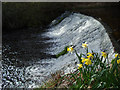 The Waterfall Mellerstain Lake