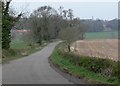 Country lane towards Little Dalby