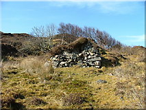 NG5710 : Remains of old shieling by Dave Fergusson