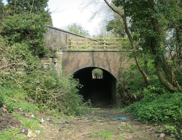 2008 : Combe Hay Railway Tunnel © Maurice Pullin cc-by-sa/2.0 ...