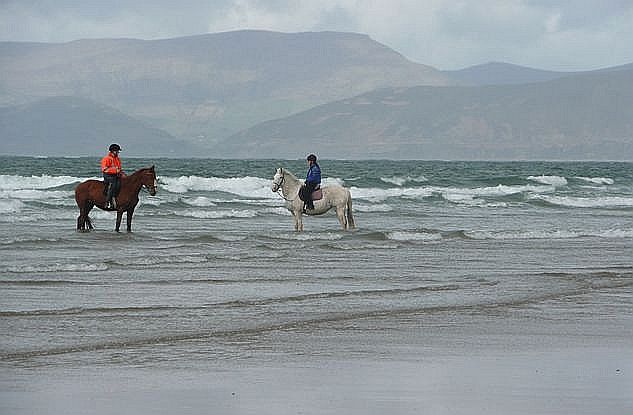 Horseriding on White Strand